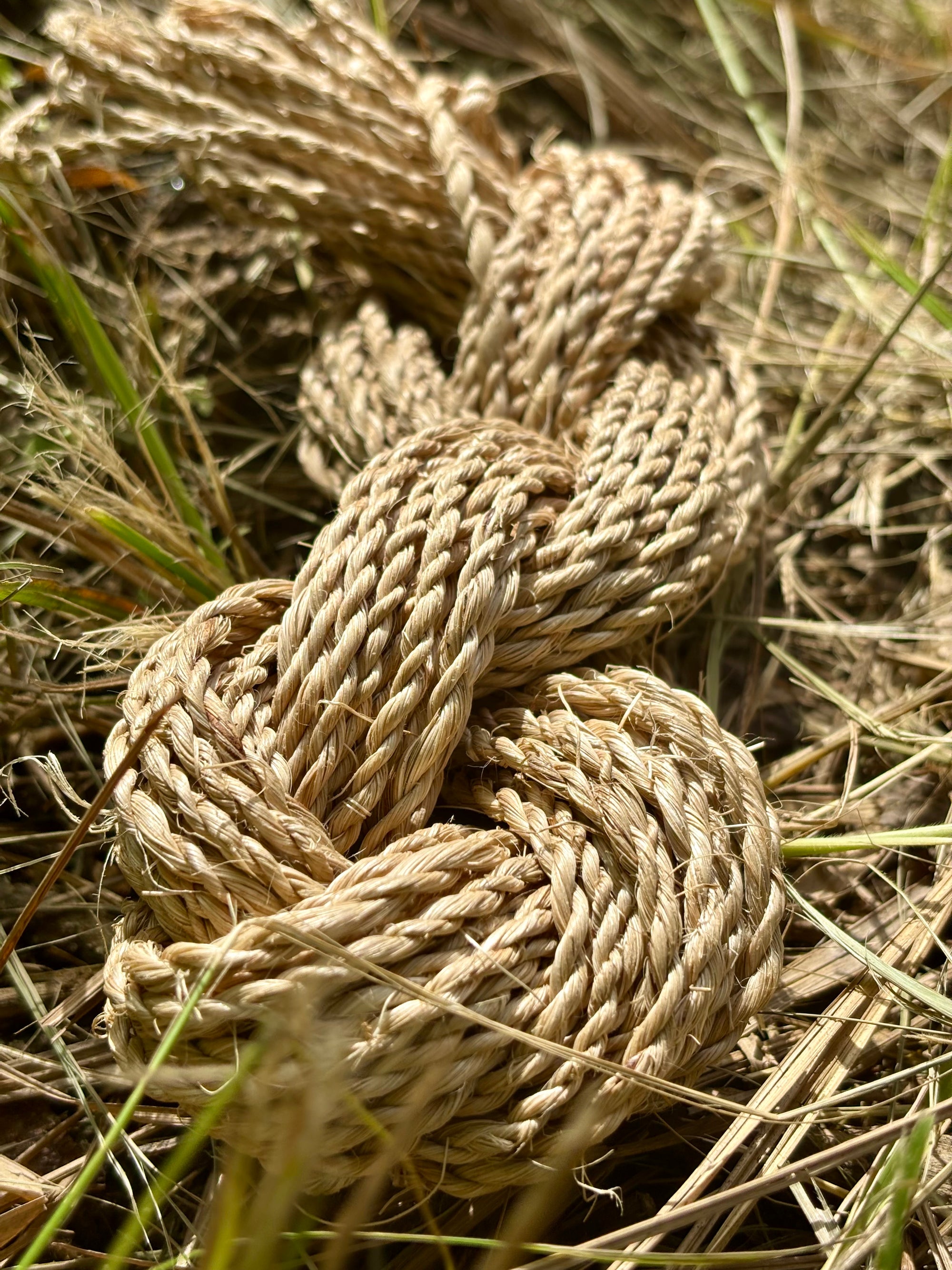 Abaca Rope